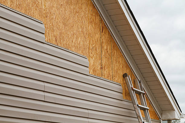 Professional Siding Inspection technician working in Benson, MN